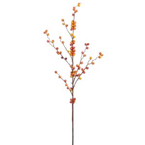 Rama de bayas bittersweet / Bittersweet Berry Branch
