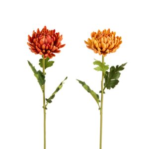 Tallo de crisantemo realista / Real Touch Mum Stem
