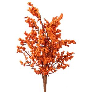 Ramo de bayas otoñales / Autumn Berry Spray