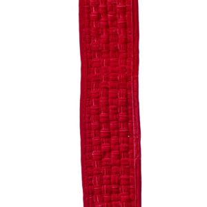 Listón de terciopelo trenzado / Velvet Braided Ribbon